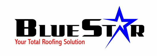 Star Blue Logo - Company Profile