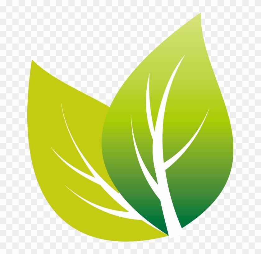 Green Tea Leaf Logo - White Tea Android - Tea Leaves Transparent Background Vectors - Free ...