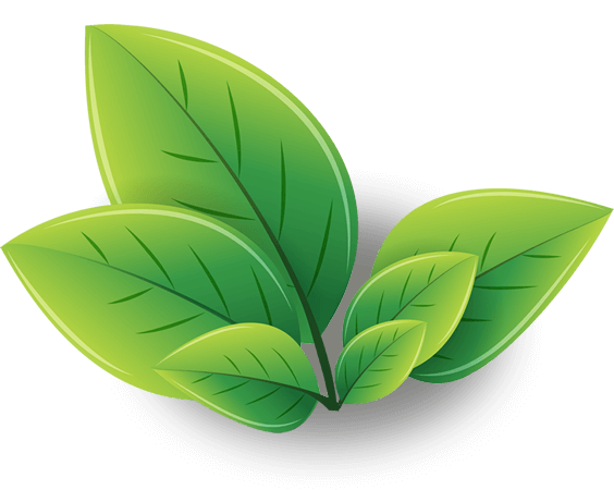 Green Tea Leaf Logo - 5-hour™ TEA Shots