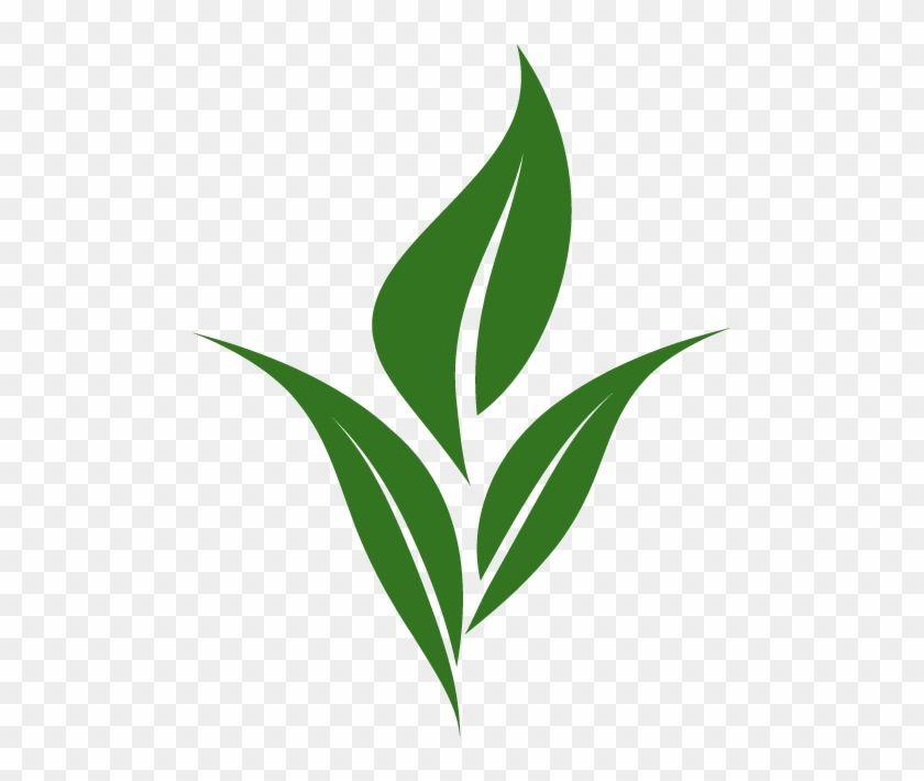 Green Tea Leaf Logo - Tea Leaf Logo - Free Transparent PNG Clipart Images Download