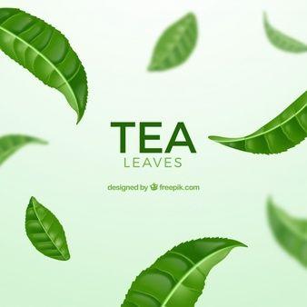 Green Tea Leaf Logo - Green Tea Vectors, Photos and PSD files | Free Download