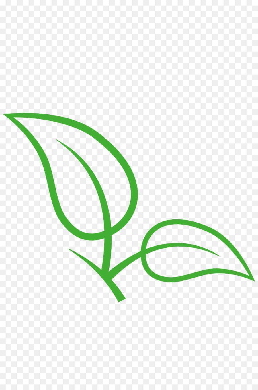 Green Tea Leaf Logo - White tea Fuding Green tea - Green leaves Fuding white tea vector ...