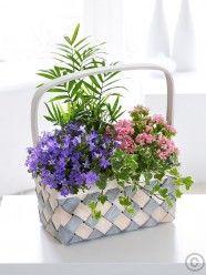Scent Flower Shop Logo - International Flower Delivery From Heaven Scent Florist. Flowers