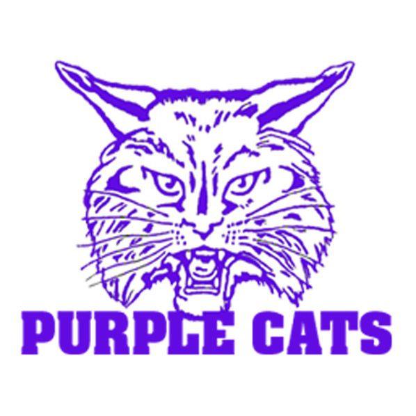 Purple Cat Logo - Prep Football Spotlight: Cottage Hill Christian at Ariton. High