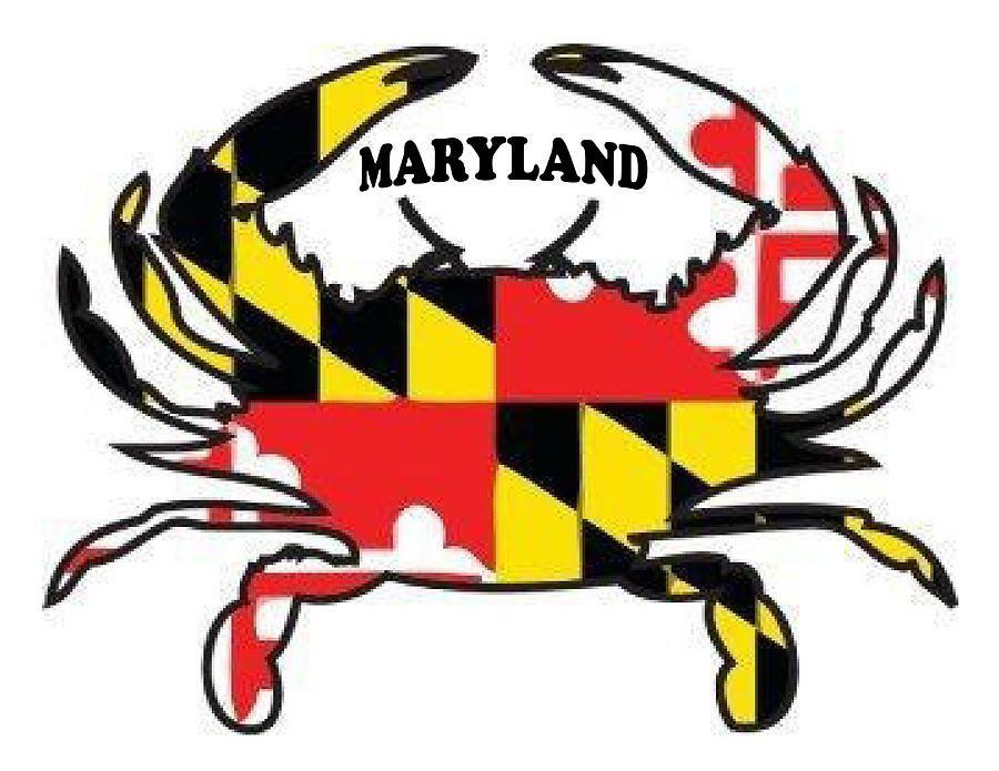 Maryland Crab Logo - Maryland Crab Drawing by Bern Hopkins