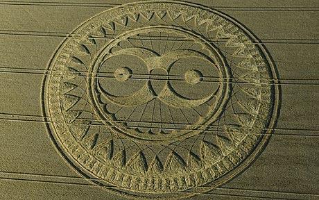 Owl in Circle Logo - Owl Crop Circle Appears In Wiltshire Field