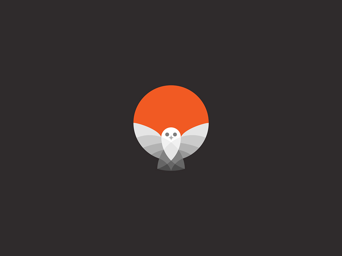 Owl in Circle Logo - Beautiful Bird Logos