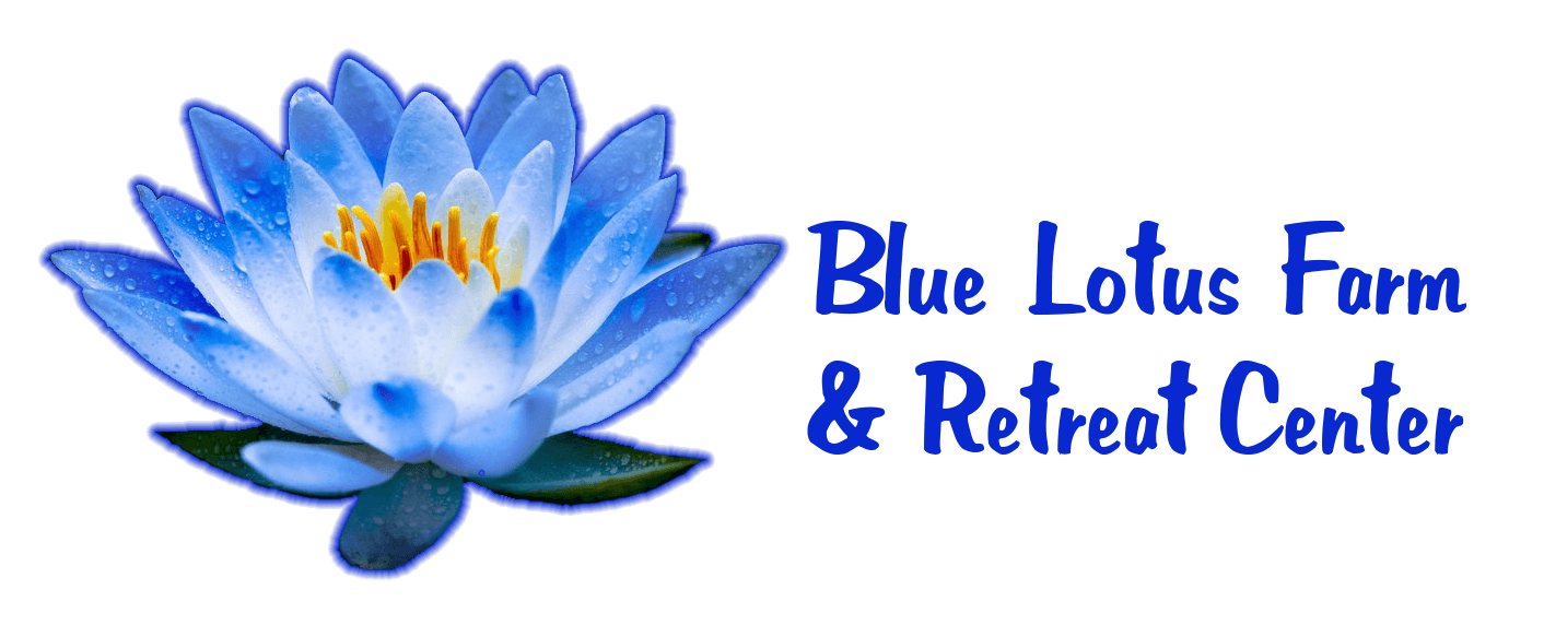 Blue Lotus Flower Logo - Home. Blue Lotus Farm & Retreat Center