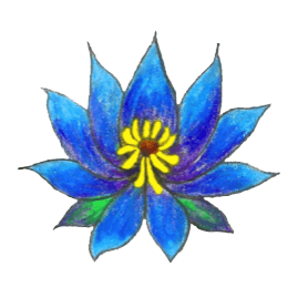 Blue Lotus Flower Logo - Herbal Syrups – Blue Lotus Ethnobotanicals