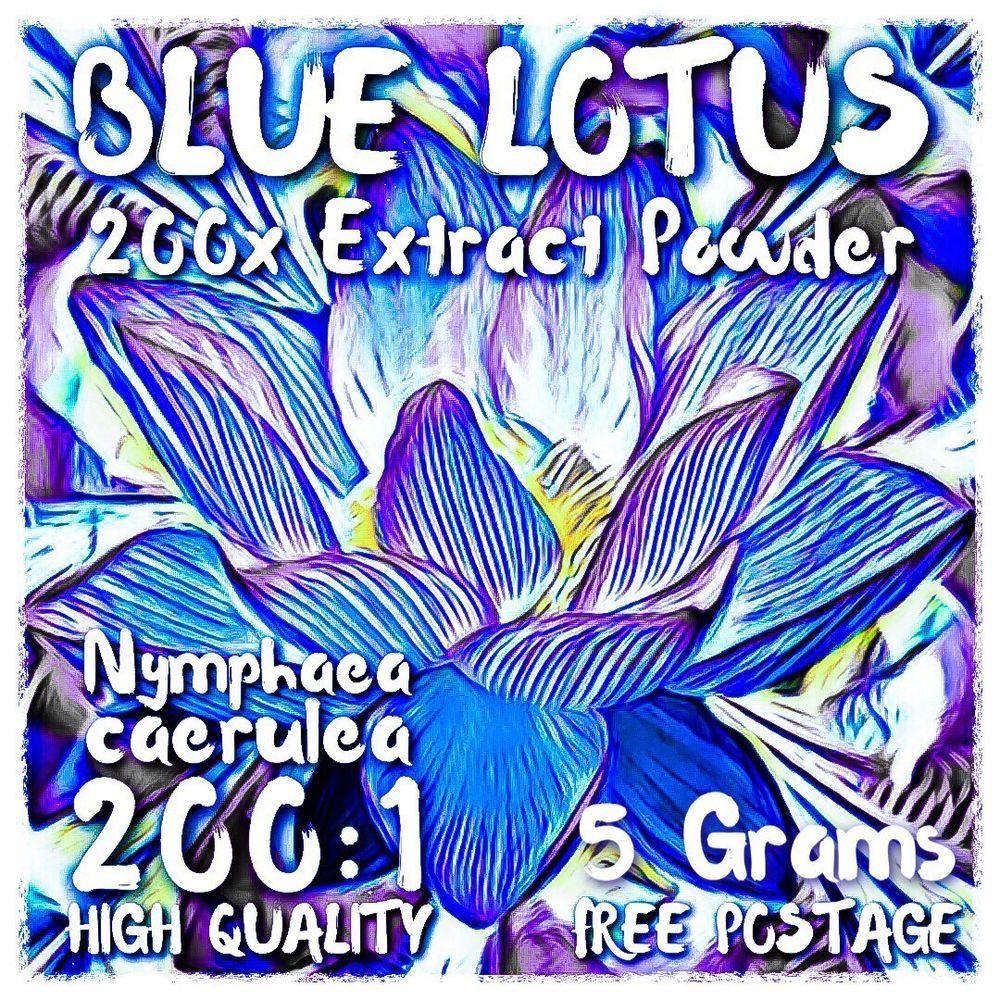 Blue Lotus Flower Logo - Blue Lotus. (Nymphaea Caerulea) 200x Extract Powder [5 Grams] Blue