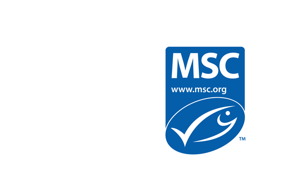 MSC Logo - Sustainable Fishing. MSC. Marine Stewardship Council