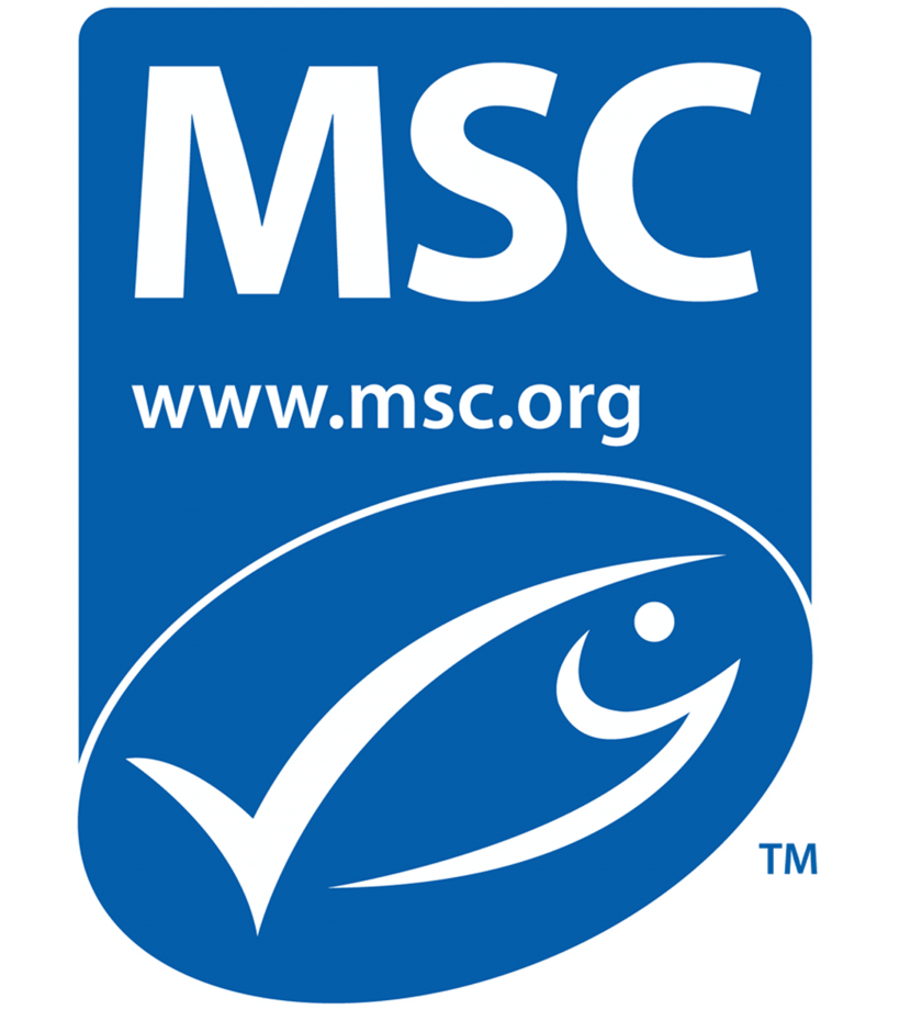 Msc Logo Significado Del Logotipo Png Vector Images and Photos finder