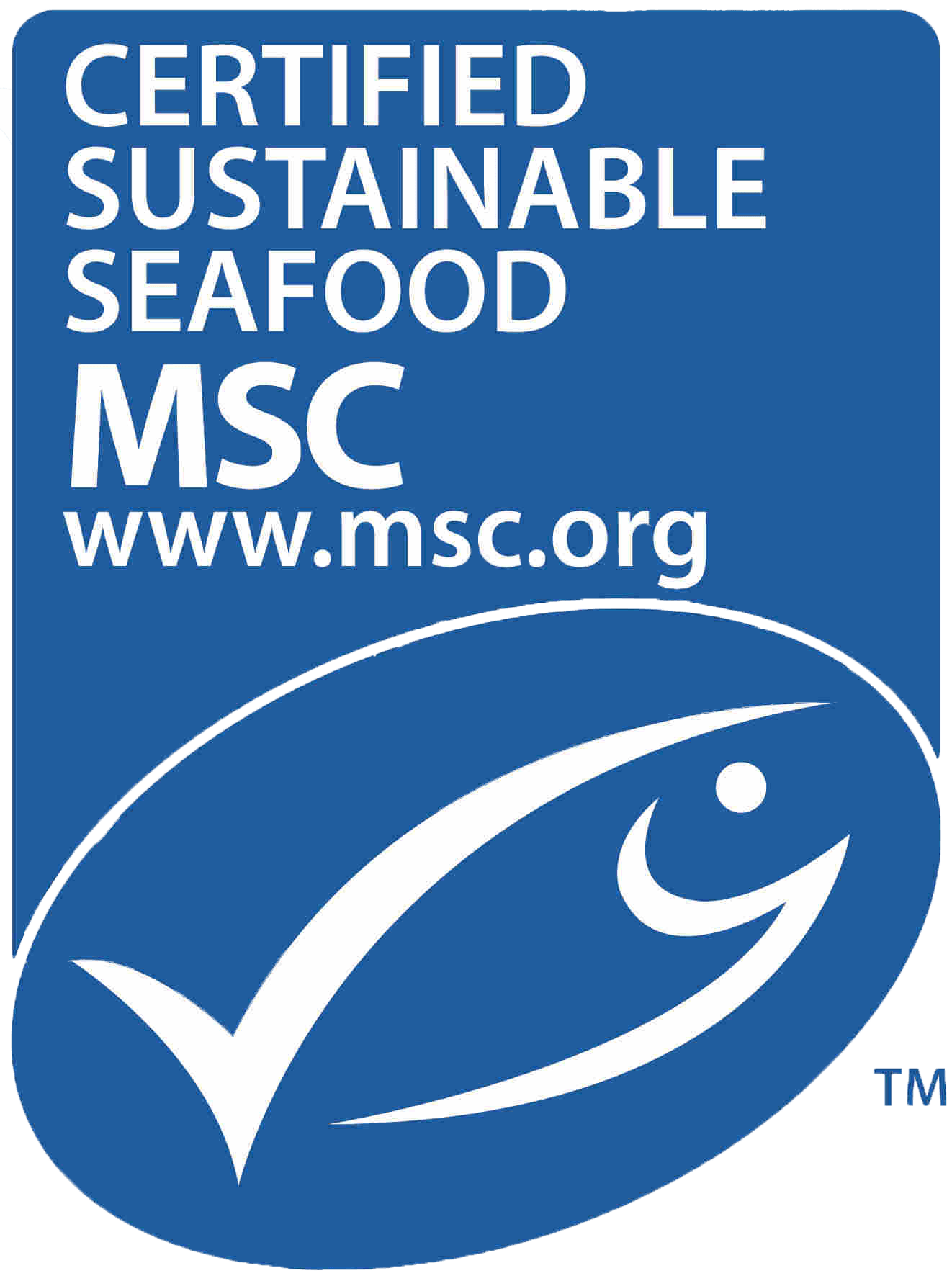 MSC Logo - MSC Logo - SJF
