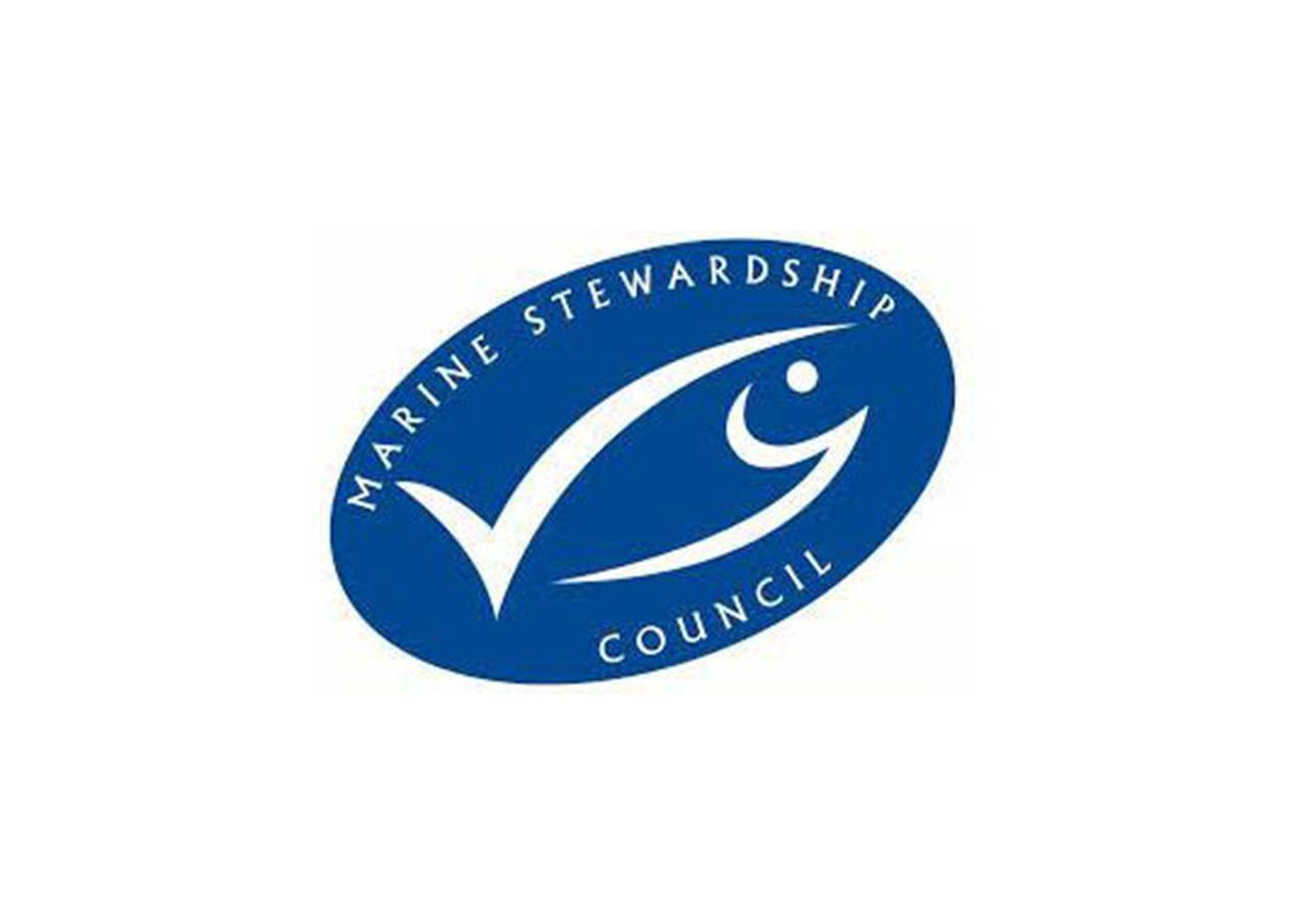 MSC Logo - msc-logo-sustainability - Sea Harvest : Sea Harvest