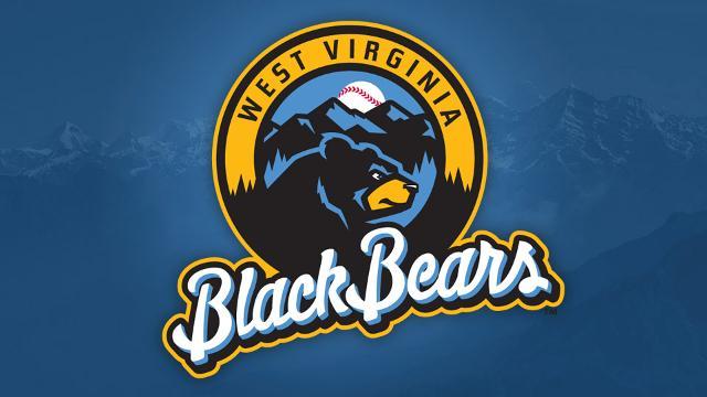Bears Baseball Logo - Black Bears unveil logo in Morgantown. MiLB.com News