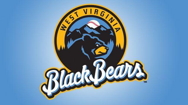Bears Baseball Logo - West Virginia Black Bears unveil team logo | West Virginia Black ...