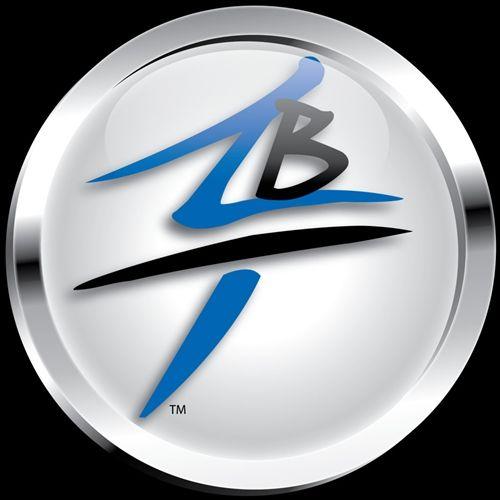 Blue and Silver Z Logo - Custom Billet Black/Silver Engraved BallZ Logo Foot peg Pins