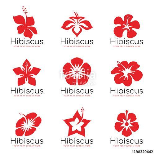 3 Flower Logo - Red Hibiscus flower logo sign vector set design
