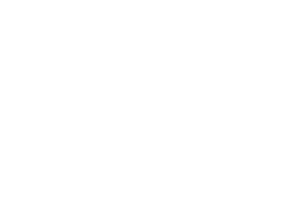 Tribal Flame Logo - Tribal flames of fire | wallstickers