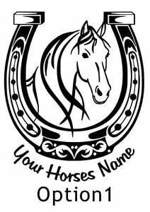 Horse and Horseshoe Logo - Personalised Horse shoe decal sticker for trailer horsebox, tackroom ...