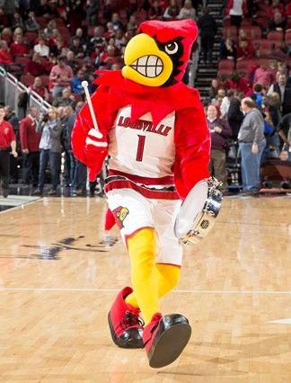 U of L Mascot Logo - Louie the Cardinal of Louisville Athletics