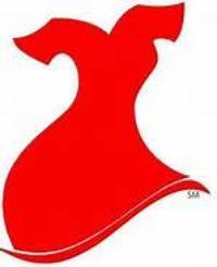 Go Red for Women Logo - go red for women logo | | qctimes.com