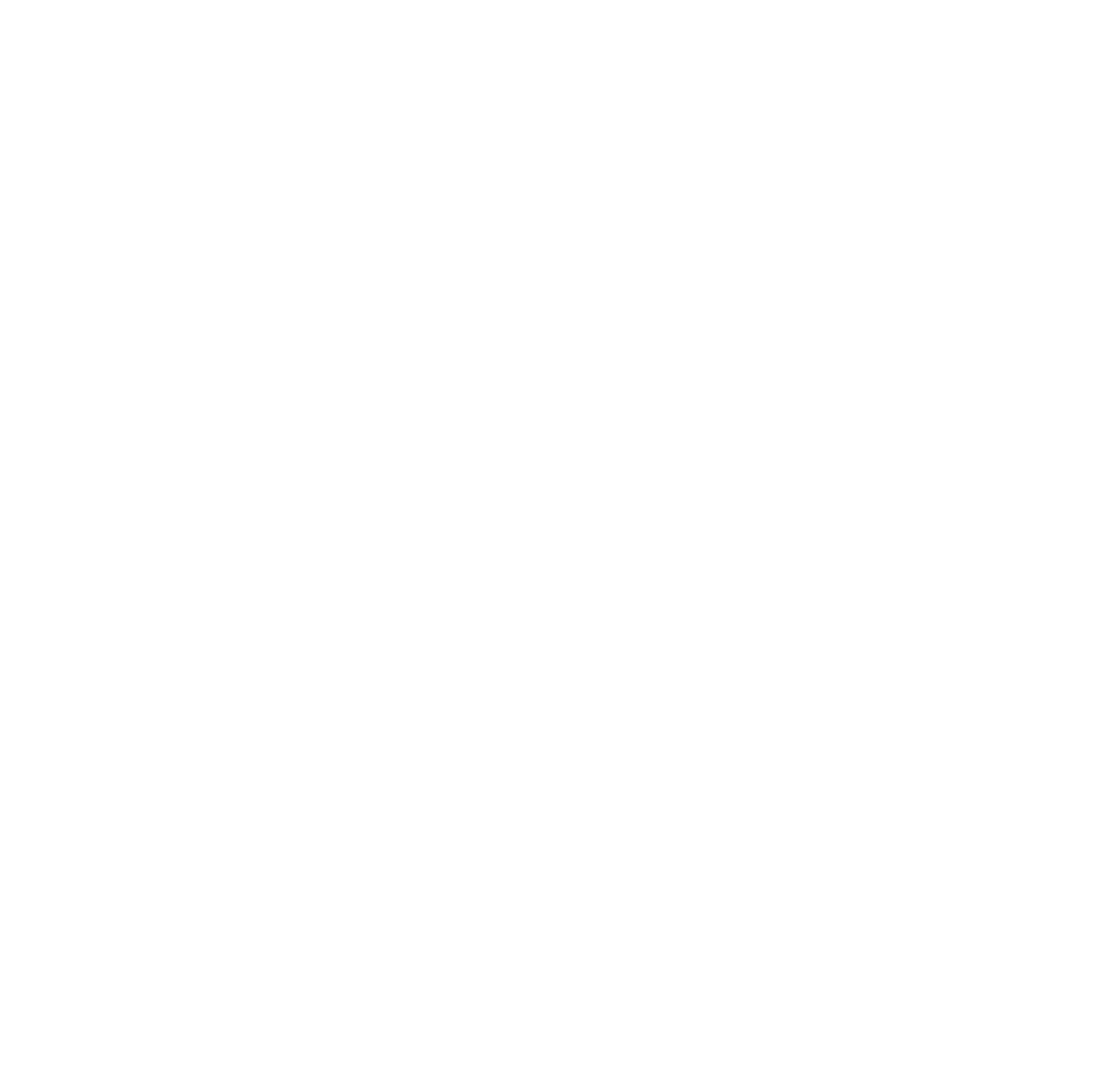 Air National Guard Logo - TMD Branding - Texas Military Department