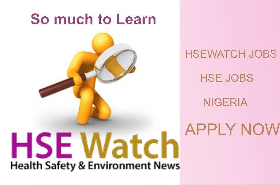 Golden Penny Logo - HSE JOBS: Health safety and Environment Officer Golden Penny, Lagos