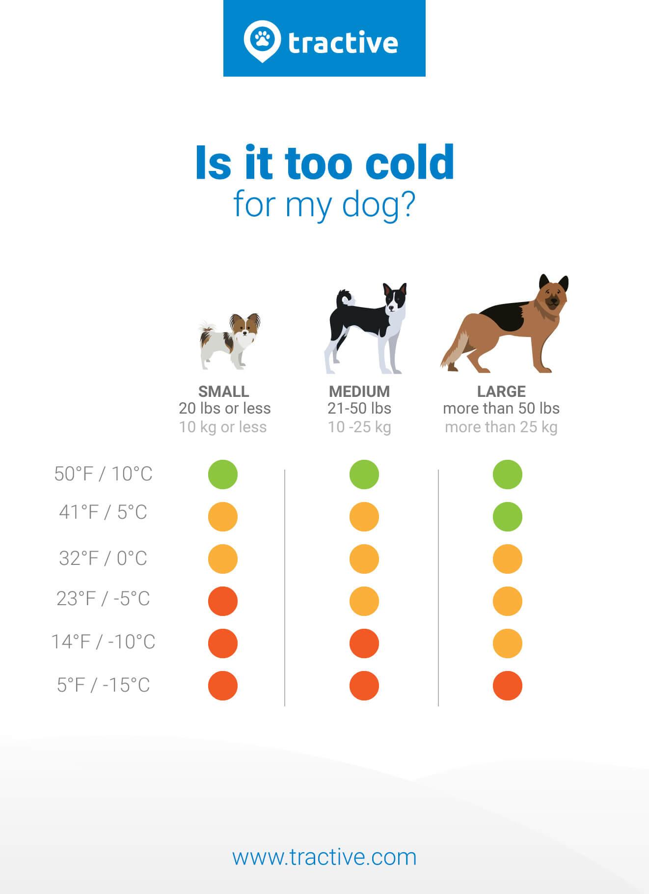 Cold Dog Logo - Dogs and cold weather: Beware of this! | Tractive