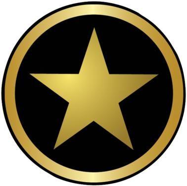Gold Star in Circle Logo - Torch Stickers Black Gold Star Sticker