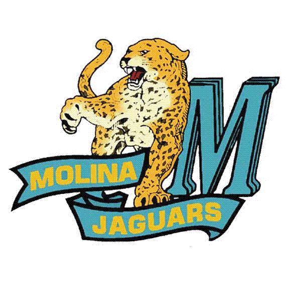 High School Jaguars Logo - Moisés E. Molina High School / Moisés E. Molina High School