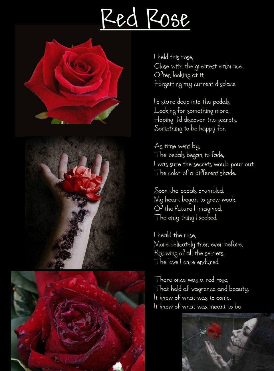 Single Red Quote Logo - roses are red poems | Red Rose Poems And Quotes. QuotesGram | Poetry ...