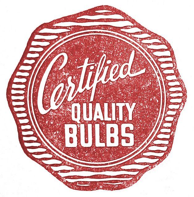 Old- Style Logo - Quality Bulbs. Concept Design Mood Board. Logos