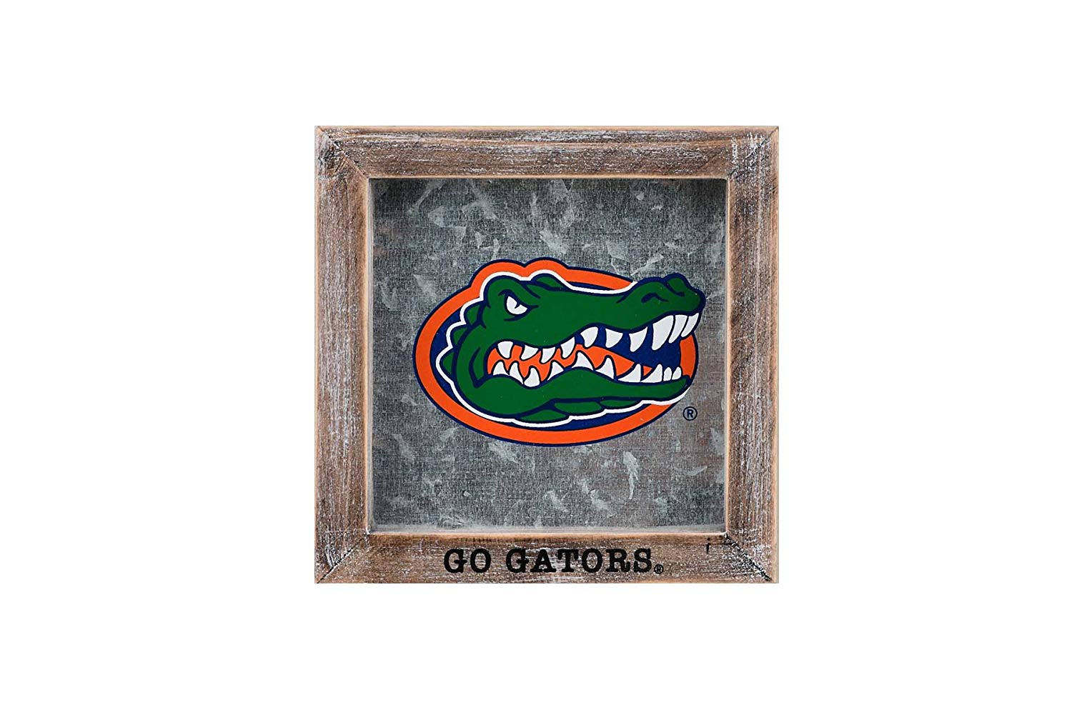 Go Gators Logo - Amazon.com: Glory Haus University of Florida Go Gators Logo Table ...