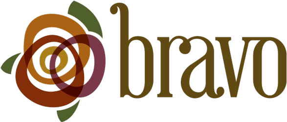 Bravo HD Logo - Download HD Bravologo Bravo Logo Png Image Transparent PNG
