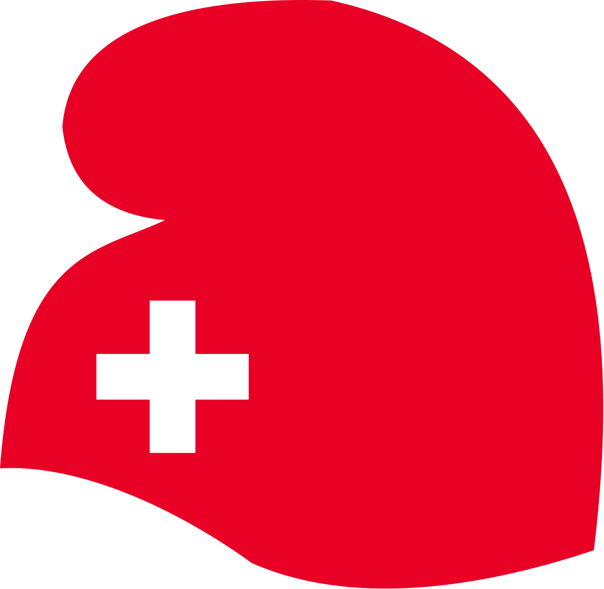 Swiss Flag Logo - Swiss Party of Labour