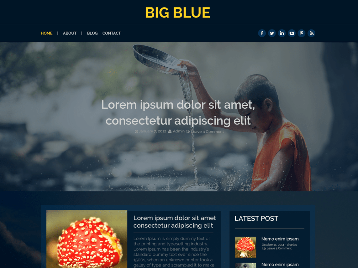 Big Blue Q Logo - Big Blue | WordPress.org