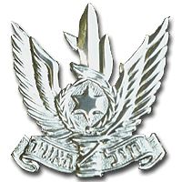 Israeli Air Force Logo - The Israeli Forces - Insignias, Air Force Insignias, Air Force Pins ...