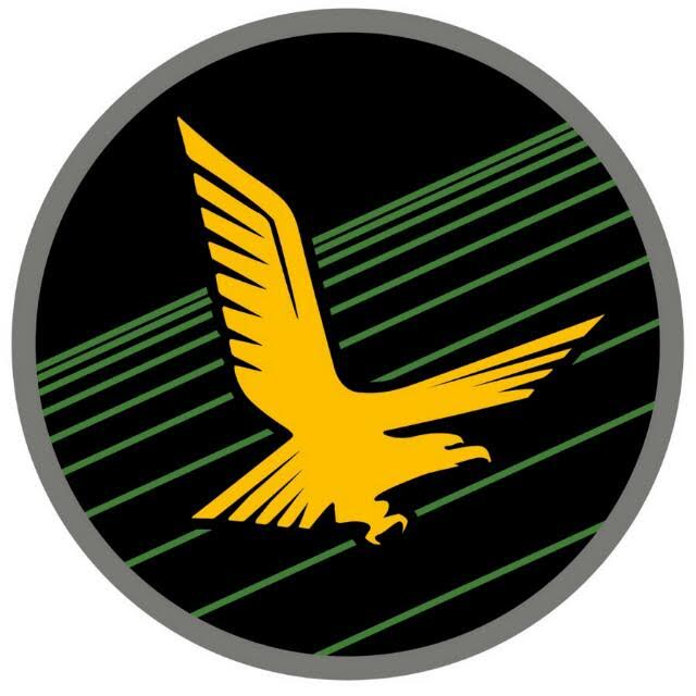 Israeli Air Force Logo - The Israeli Air Force : The F 35I Squadron's Symbol Revealed