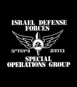 Israeli Air Force Logo - IDF Shirts