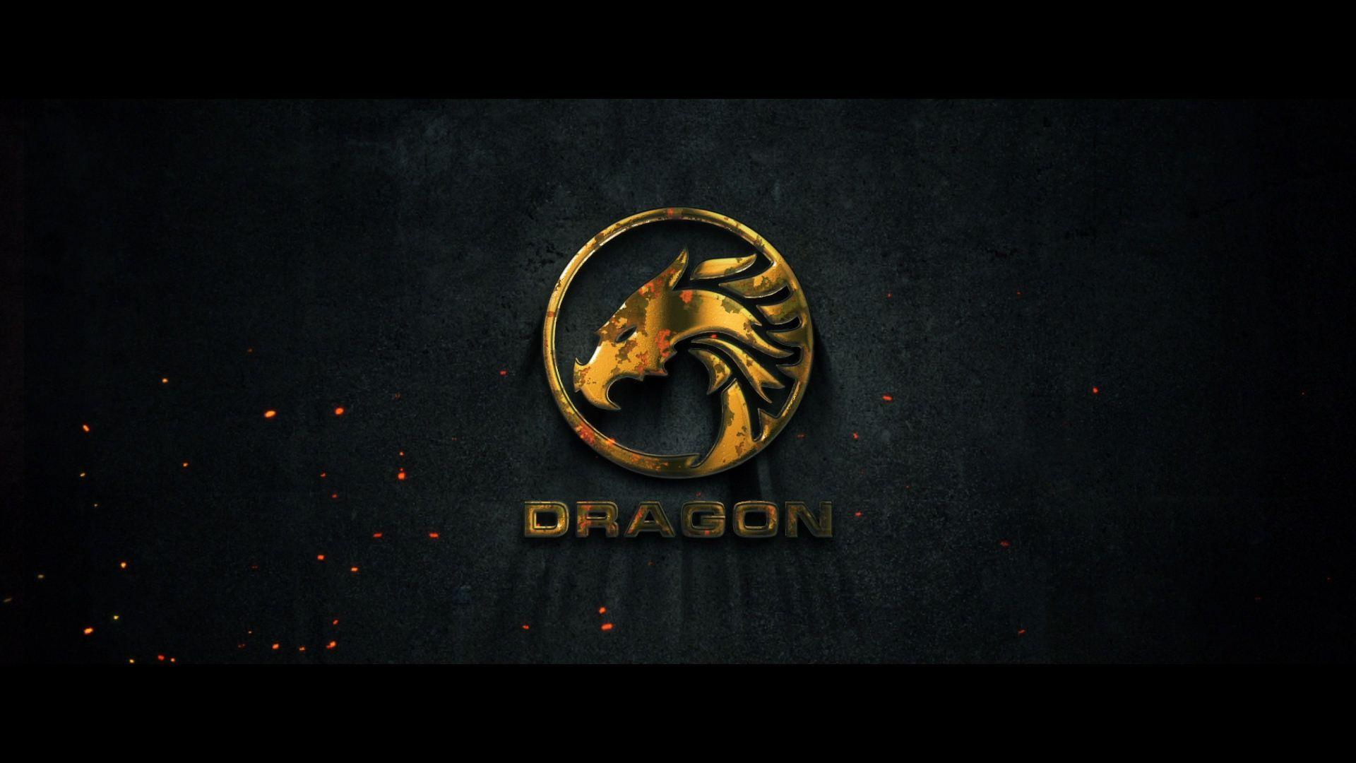 Fire Dragon Logo - Fire Logo Reveal by hoaphan3d | VideoHive