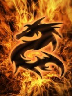 Fire Dragon Logo - 104 Best Logo Inspired! images | Dragons, A logo, Animal logo