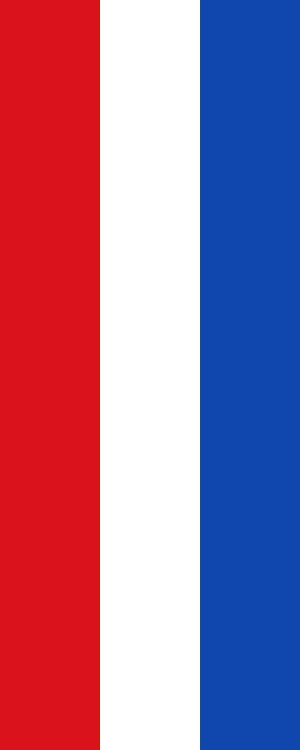 Red White and Blue Flag Logo - Flag red white blue 2x5.svg
