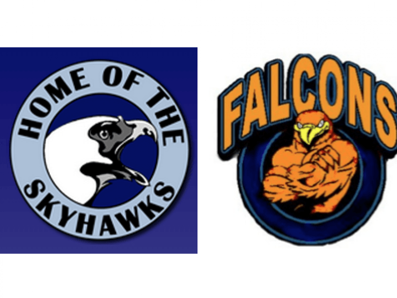 The Bird Division Logo - Battle of the Birds to Decide Division 5 Football Champ in Virginia ...