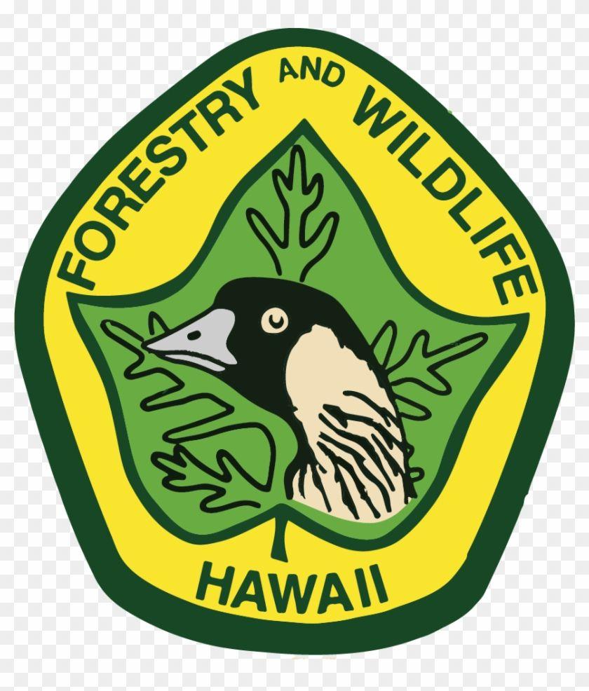 The Bird Division Logo - Of Land And Natural Resources/division Of Forestry - Dofaw Logo ...