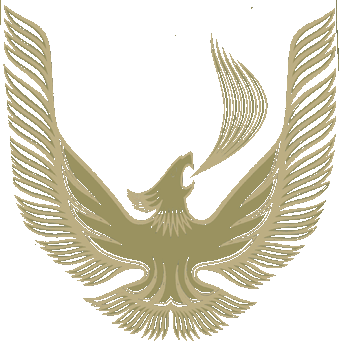 Black and Gold Bird Logo - Trans Am Chickanalyzer