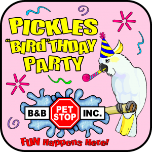 Pickle Bird Logo - Pickles 