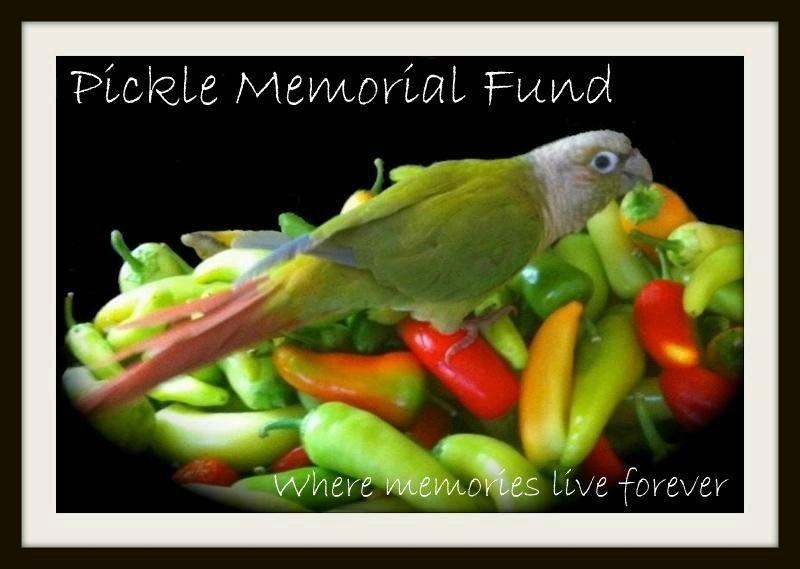 Pickle Bird Logo - Pickle Memorial Fund | Santa Barbara Bird Sanctuary