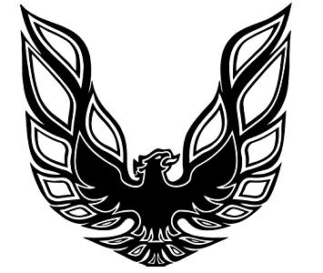 Black and Gold Bird Logo - Amazon.com: Pontiac Firebird Trans Am Hood Bird Sticker Decal Vinyl ...