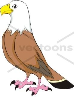 Cartoon Eagle Logo - Cartoon Eagle Logo - Bird - Animals - Buy Clip Art | Buy ...
